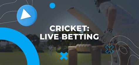 Best Cricket Betting Sites ᐉ Cricket Online Betting [2024].